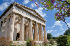1904-Athenes-114