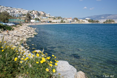 1904-Athenes-180