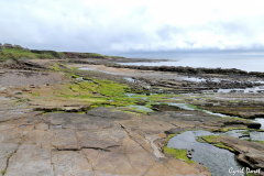 1107-Crail-06_01-scaled