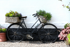 1107-Dochgarroch-06_01-scaled