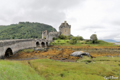 1107-Eilan-Donan-castle-11_01-scaled