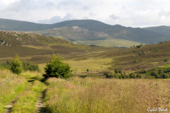 1107-Loch-Ruthven-10-scaled