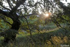 1107-Loch-Ruthven-15-scaled