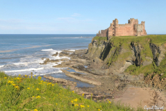 1107-North-Berwick-Tantallon-castle-02_01-scaled