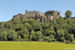 1107-Stirling-15_01-scaled