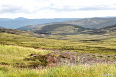 1107-Traversee-des-Highlands-03_01-scaled