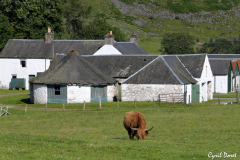 1107-Traversee-des-Highlands-17-scaled