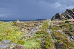 1808-Easdale-island-097-scaled