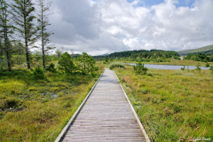 Ile de Lewis & Harris - Aout 2019