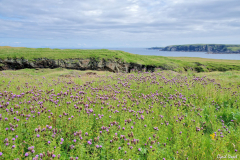 Ile de Lewis & Harris - Aout 2019