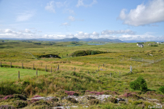 Ile de Lewis & Harris - Aout 2019