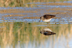 2104-Chevalier-sylvain-04_01-scaled