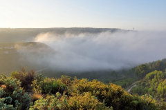 1511-Rognac-La-colline-dans-le-brouillard-03-scaled