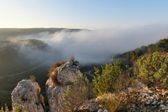 1511-Rognac-La-colline-dans-le-brouillard-04-scaled
