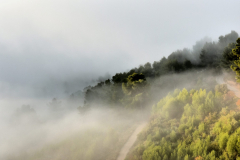 1511-Rognac-La-colline-dans-le-brouillard-09-scaled