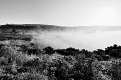 1511-Rognac-La-colline-dans-le-brouillard-10_DxO1-scaled
