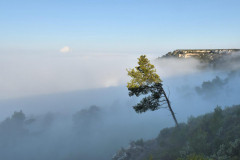 1511-Rognac-La-colline-dans-le-brouillard-11-scaled