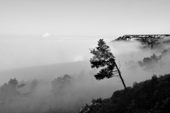 1511-Rognac-La-colline-dans-le-brouillard-11_DxO1-scaled
