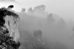 1511-Rognac-La-colline-dans-le-brouillard-12_DxO1-scaled