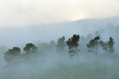 1511-Rognac-La-colline-dans-le-brouillard-13-scaled