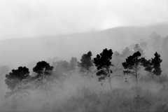 1511-Rognac-La-colline-dans-le-brouillard-13_DxO1-scaled
