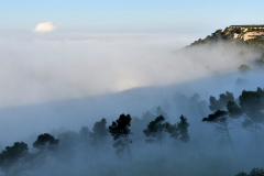 1511-Rognac-La-colline-dans-le-brouillard-14-scaled