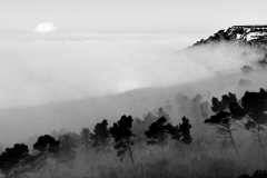 1511-Rognac-La-colline-dans-le-brouillard-14_DxO1-scaled