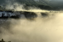 1511-Rognac-La-colline-dans-le-brouillard-15-scaled