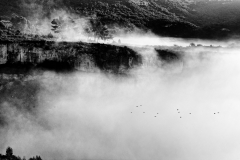 1511-Rognac-La-colline-dans-le-brouillard-15_DxO1-scaled