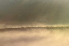 1511-Rognac-La-colline-dans-le-brouillard-17-scaled