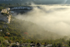 1511-Rognac-La-colline-dans-le-brouillard-18-scaled