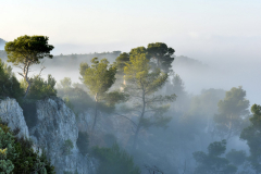 1511-Rognac-La-colline-dans-le-brouillard-20-scaled