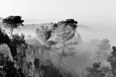 1511-Rognac-La-colline-dans-le-brouillard-20_DxO1-scaled