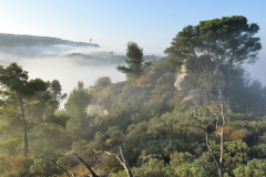 1511-Rognac-La-colline-dans-le-brouillard-21-scaled