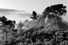 1511-Rognac-La-colline-dans-le-brouillard-21_DxO1-scaled