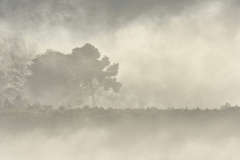 1511-Rognac-La-colline-dans-le-brouillard-23-scaled