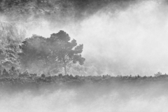1511-Rognac-La-colline-dans-le-brouillard-23a_DxO1-scaled