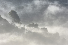 1511-Rognac-La-colline-dans-le-brouillard-25-scaled