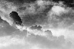 1511-Rognac-La-colline-dans-le-brouillard-25_DxO1-scaled