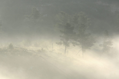 1511-Rognac-La-colline-dans-le-brouillard-26-scaled