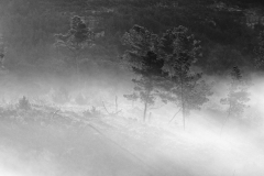 1511-Rognac-La-colline-dans-le-brouillard-26_DxO1-scaled