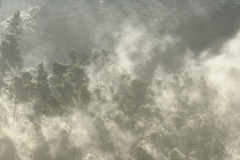 1511-Rognac-La-colline-dans-le-brouillard-28-scaled