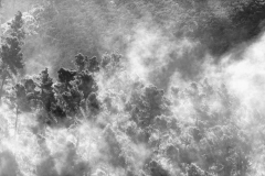 1511-Rognac-La-colline-dans-le-brouillard-28_DxO1-scaled