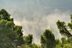 1511-Rognac-La-colline-dans-le-brouillard-35-scaled