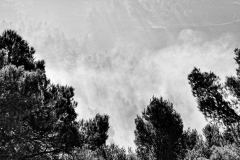 1511-Rognac-La-colline-dans-le-brouillard-35_DxO1-scaled