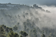 1511-Rognac-La-colline-dans-le-brouillard-36-scaled