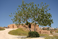 2305-Jordanie-Jerash-32-scaled