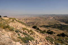 2305-Madaba-Mont-Nebo-04_1-scaled