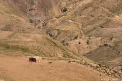 2305-Madaba-Mont-Nebo-19_1-scaled