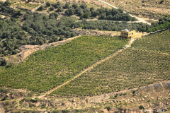 2305-Madaba-Mont-Nebo-20_1-scaled